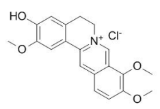 盐酸药根碱