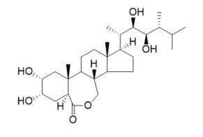 24-表芸苔素內酯