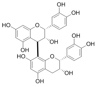 原花青素B2