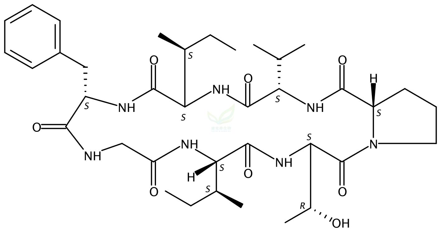 太子参环肽A