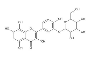 棉皮素-3'-O-β-葡萄糖苷