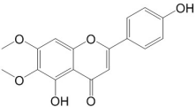 滨蓟黄素