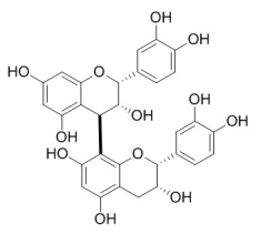 原花青素B2