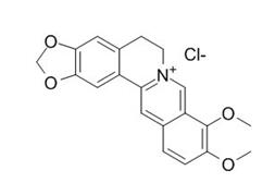 盐酸小檗碱