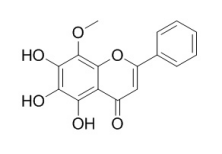 6-羟基汉黄芩素