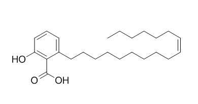 银杏酸(C17:1)