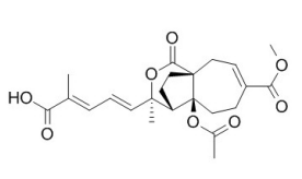 土荆皮乙酸