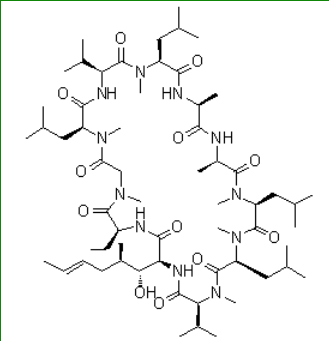 环孢菌素L