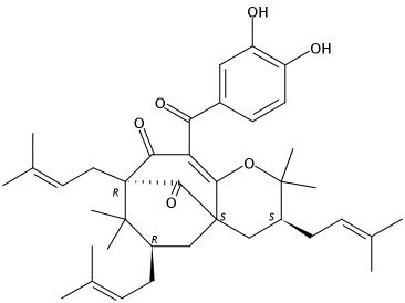 Isogarcinol