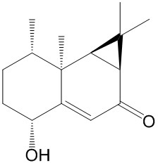 axinysone B