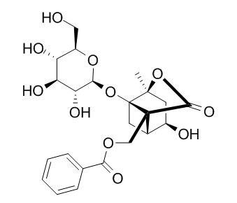芍药内酯苷