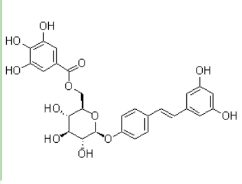 白藜芦醇-4'-O-β-D-(6''-O-没食子酰) 葡萄糖苷