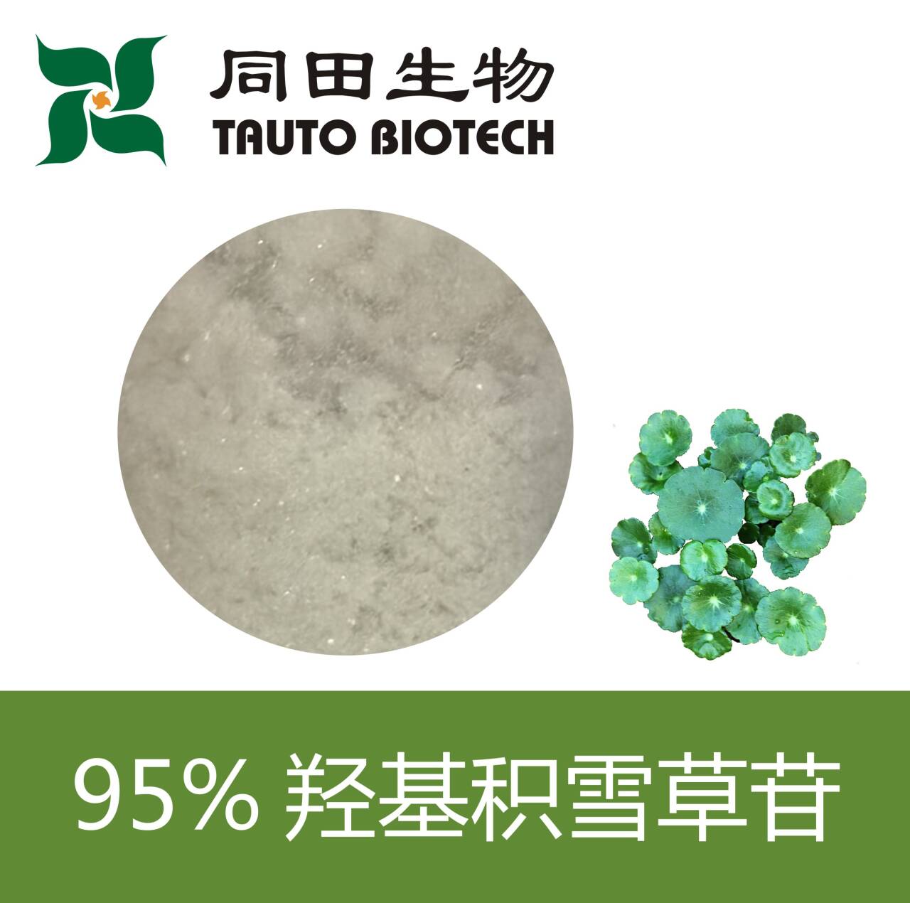 羟基积雪草甙（羟基积雪草苷）