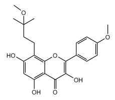Brevicornin