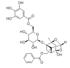 没食子酰芍药苷