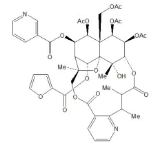 Hyponine E