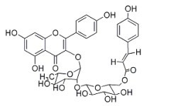 3-O-{2-O-[6-O-(p羟基-反-香豆酰)-葡萄糖基]-鼠李糖基}槲皮素