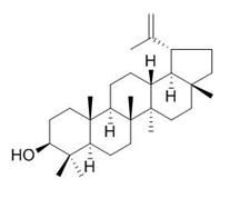 羽扇豆醇