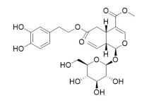 Oleuroside