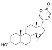华蟾毒精-3-丁二酰基-L-精氨酸脂