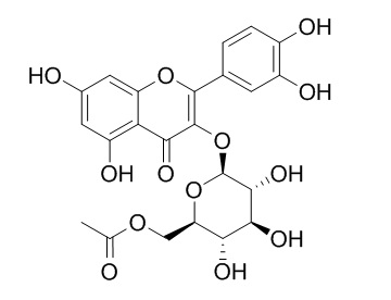 6"-O-乙酰基异槲皮苷