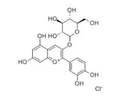 矢车菊素-3-O-葡萄糖苷