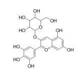 飞燕草素-3-O-半乳糖苷