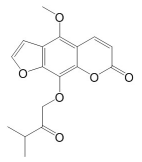 异白当归脑