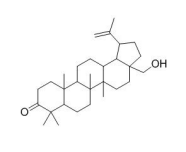 Betulone
