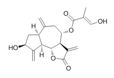 菜蓟苦素