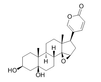 南美蟾毒精