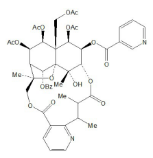 Hyponine D