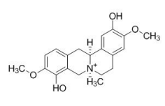 汉防己丙素