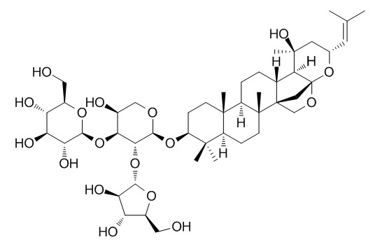 假马齿苋苷 X