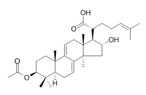 3-O-乙酰基-16α-羟基松苓新酸