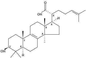 栓菌酸