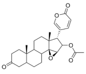 3-羰基华蟾毒精