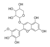 矮牵牛素-3-O-阿拉伯糖苷