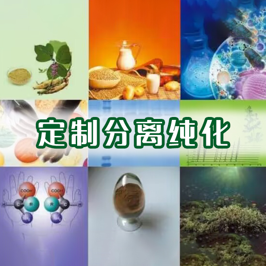 分离纯化服务