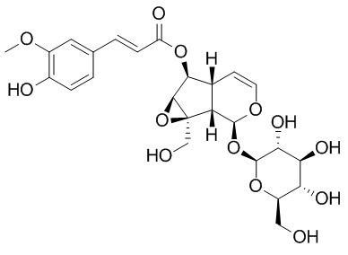 6-阿魏酰梓醇