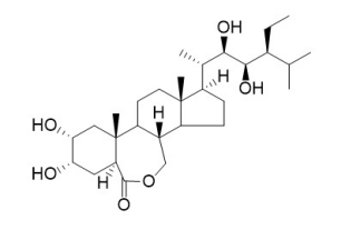 28-高芸苔素内酯