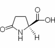 L-焦谷氨酸
