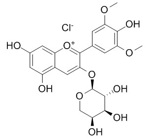 氯化锦葵色素-3-O-阿拉伯糖苷