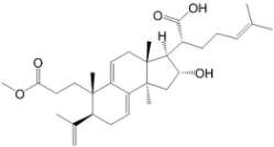 茯苓新酸BM