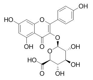 山奈酚3葡糖苷酸