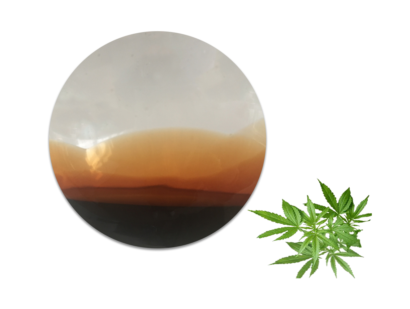 全谱油