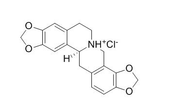 盐酸四氢黄连碱