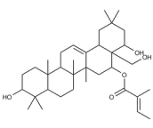Camelliagenin A 16-tiglate