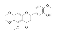 半齿泽兰素-5甲醚