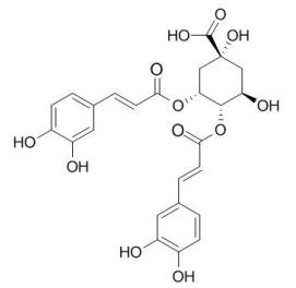 异绿原酸C（4,5-二咖啡酰奎宁酸）